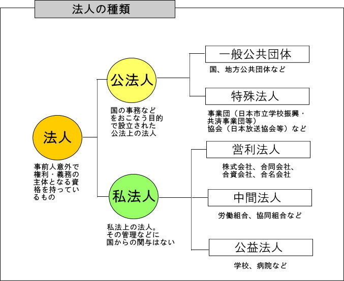 法人の種類図