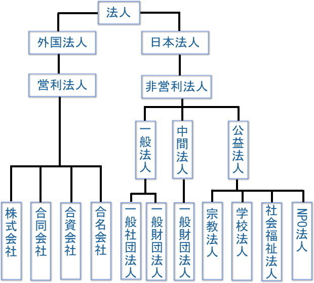 法人の分類図